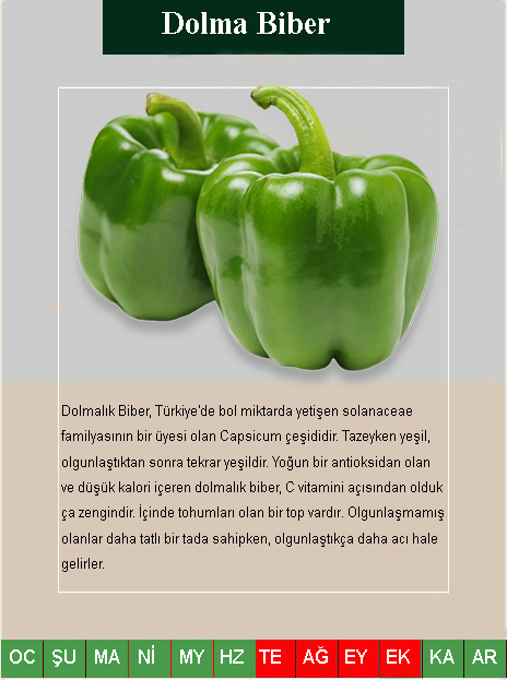 Dolma_biber_takvimtr